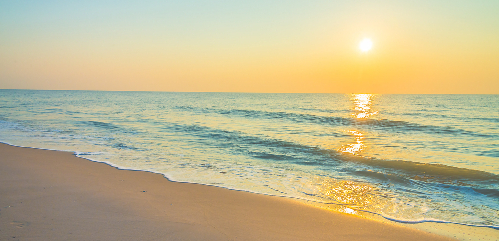 Shoreline Beach Service